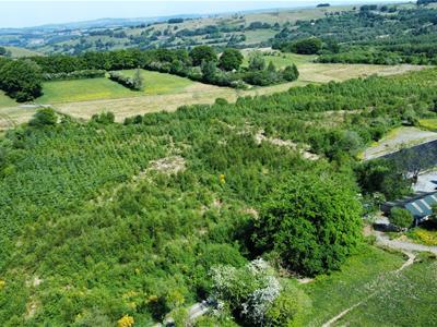 OPTIONAL LAND